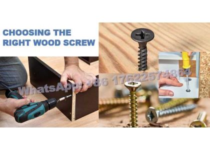 Which Screw Is Good For Fastening Wood Products?